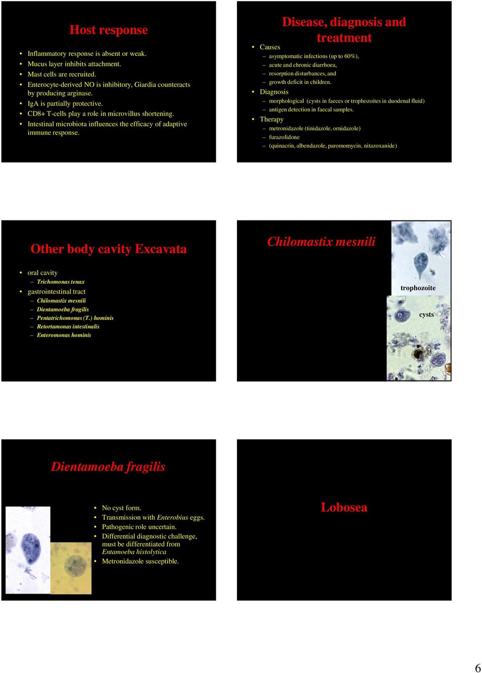 Disease, diagnosis and treatment Causes asymptomatic infections (up to 60%), acute and chronic diarrhoea, resorption disturbances, and growth deficit in children.