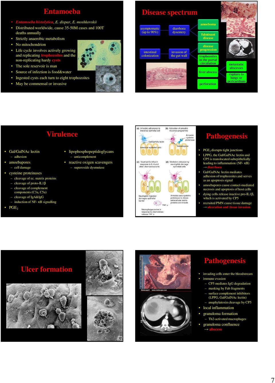 non-replicating hardy cysts The sole reservoir is man Source of infection is food&water Ingested cysts each turn to eight trophozoites May be commensal or invasive Disease spectrum amoeboma