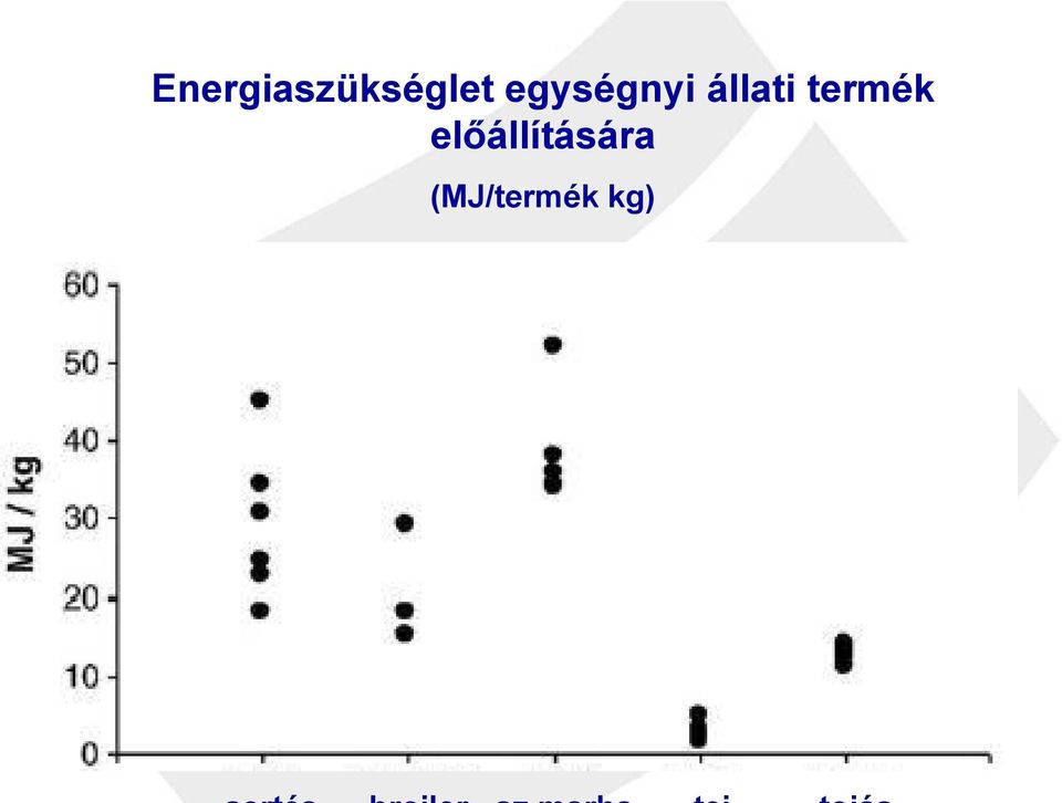 termék