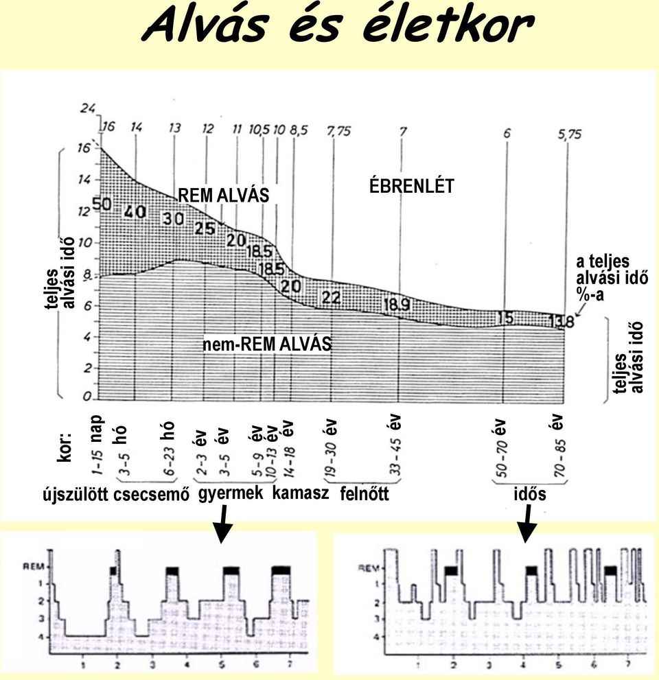 ALVÁS ÉBRENLÉT a teljes alvási idő %-a nem-rem