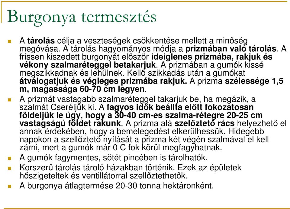 Kellı szikkadás után a gumókat átválogatjuk és végleges prizmába rakjuk. A prizma szélessége 1,5 m, magassága 60-70 cm legyen.