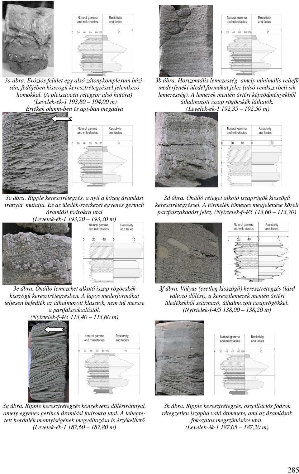 Horizontális lemezesség, amely minimális reliefő mederfenéki üledékformákat jelez (alsó rendszerbeli sík lemezesség). A lemezek mentén ártéri képzıdményekbıl áthalmozott iszap rögöcskék láthatók.