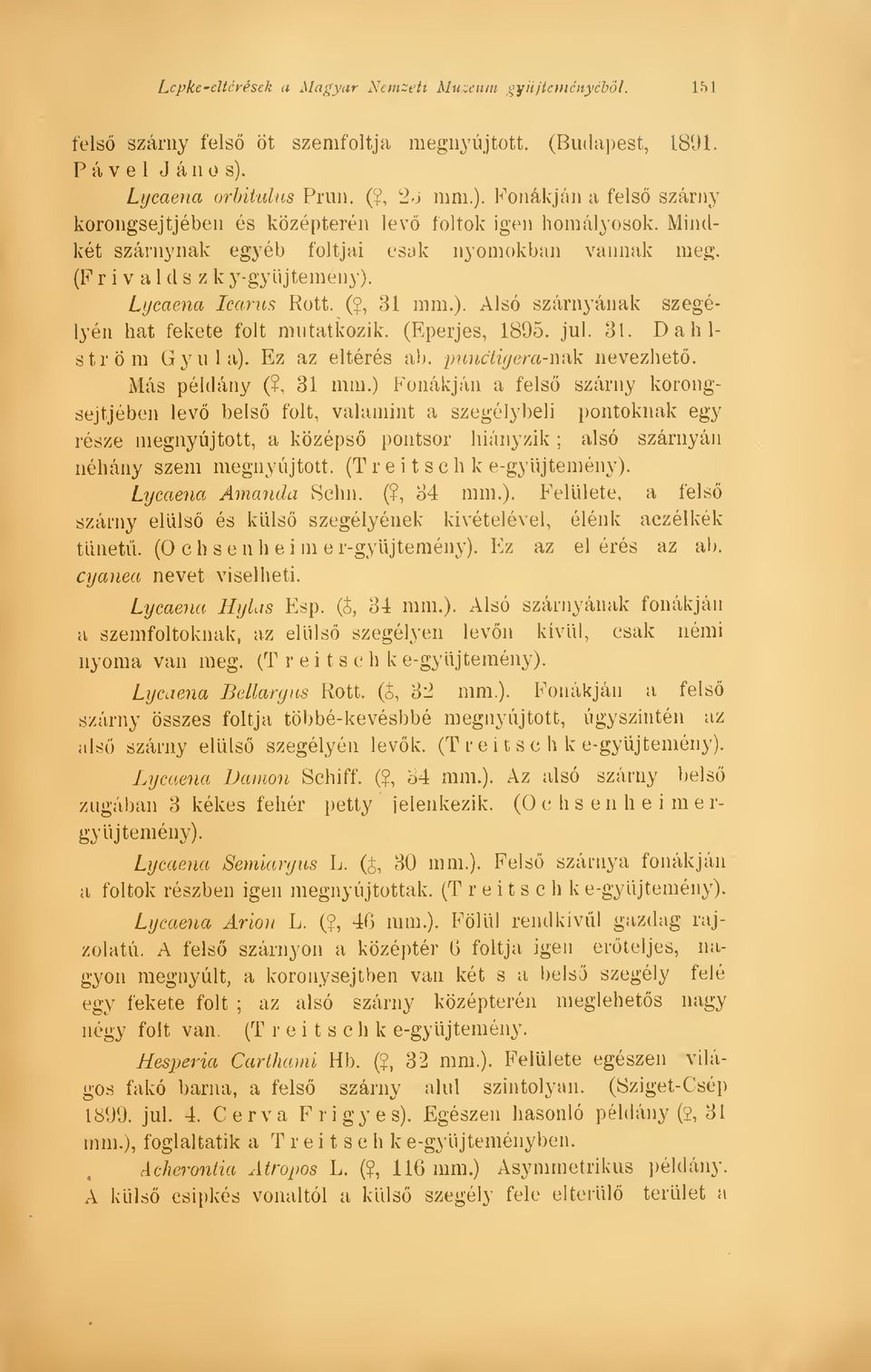 Ez az eltérés ab. punctigera-m\k nevezhet. Más példány (?, 31 mm.