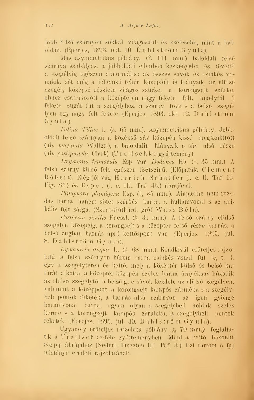 elüls szegély középs részlete világos szürke, a korongsejt Bzürke, ehhez csatlakozott a középtéren nagy fekete folt.