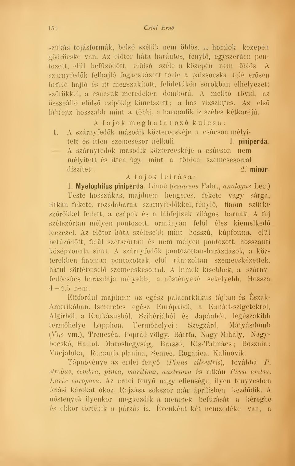 elüls csípkig kimetszett; a has vízszintes. Az els lábfejíz hosszabb mint a többi, a harmadik íz szeles kétkaréjú. A f a j k m e g h a t á r o z ó kulcsa: 1.