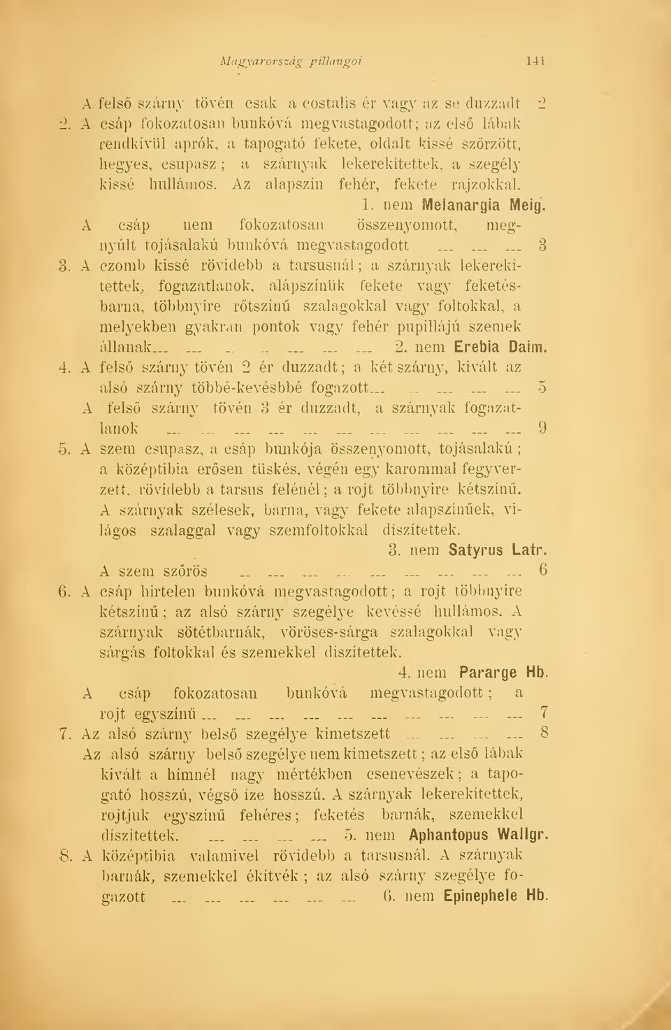 Az alapszín fehér, fekete rajzokkal. 1. nem Melanargia Meig. A csáp nem fokozatosan összenyomott, megnyúlt tojásalakú bunkóvá megvastagodott......... 3 3.