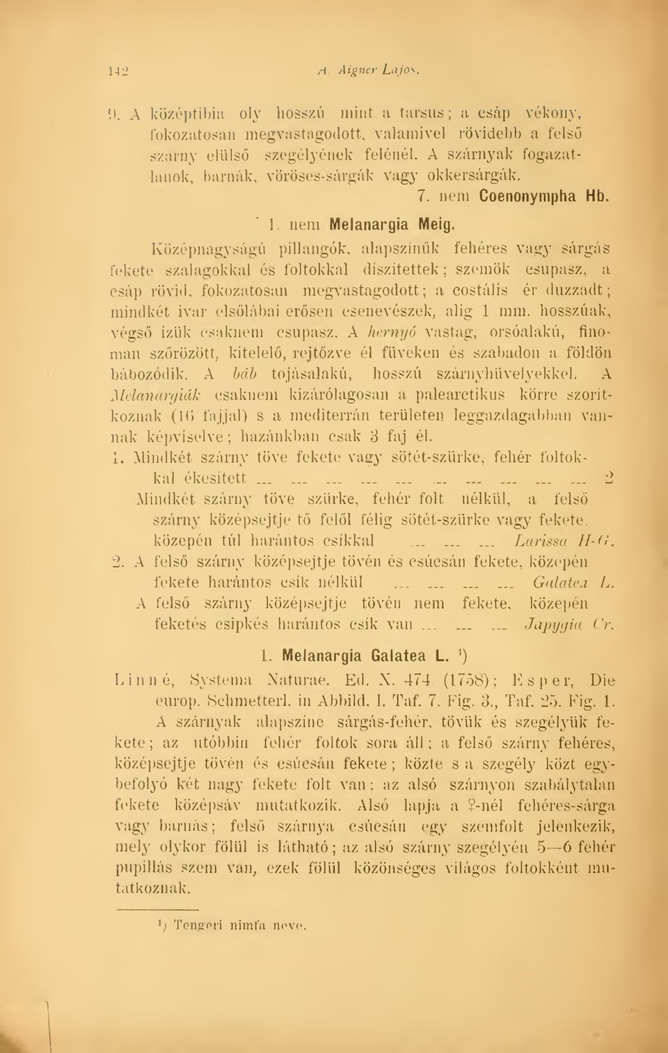 Középnagyságú pillangók, alapszniuk fehéres vagy sárgás fekete szalagokkal és foltokkal díszítettek; szemök csupasz, a csáp rövid, fokozatosan megvastagodott; a costális ér duzzadt; mindkét ivar