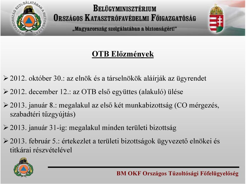 : megalakul az első két munkabizottság (CO mérgezés, szabadtéri tűzgyújtás) 2013.