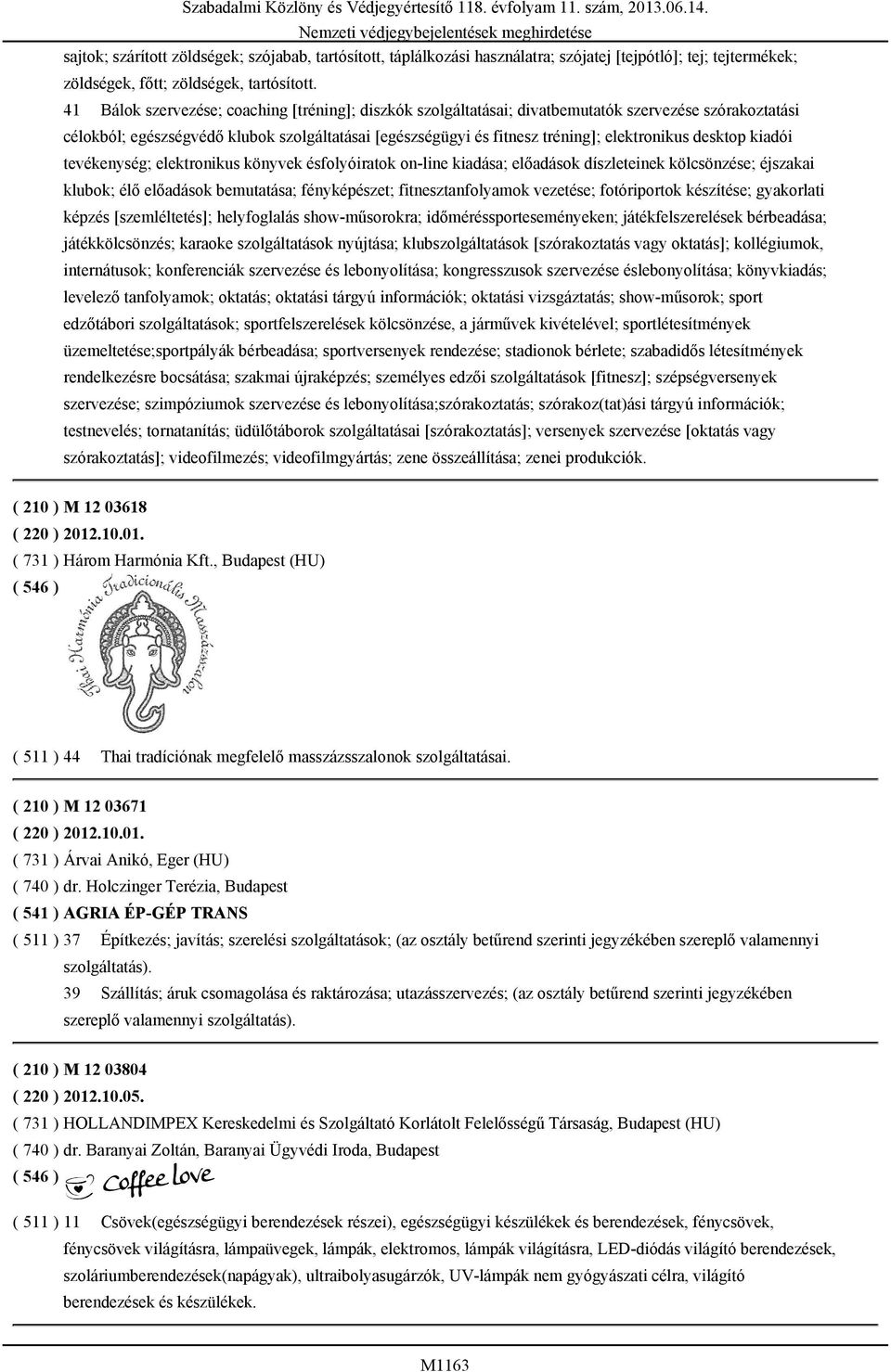 desktop kiadói tevékenység; elektronikus könyvek ésfolyóiratok on-line kiadása; előadások díszleteinek kölcsönzése; éjszakai klubok; élő előadások bemutatása; fényképészet; fitnesztanfolyamok