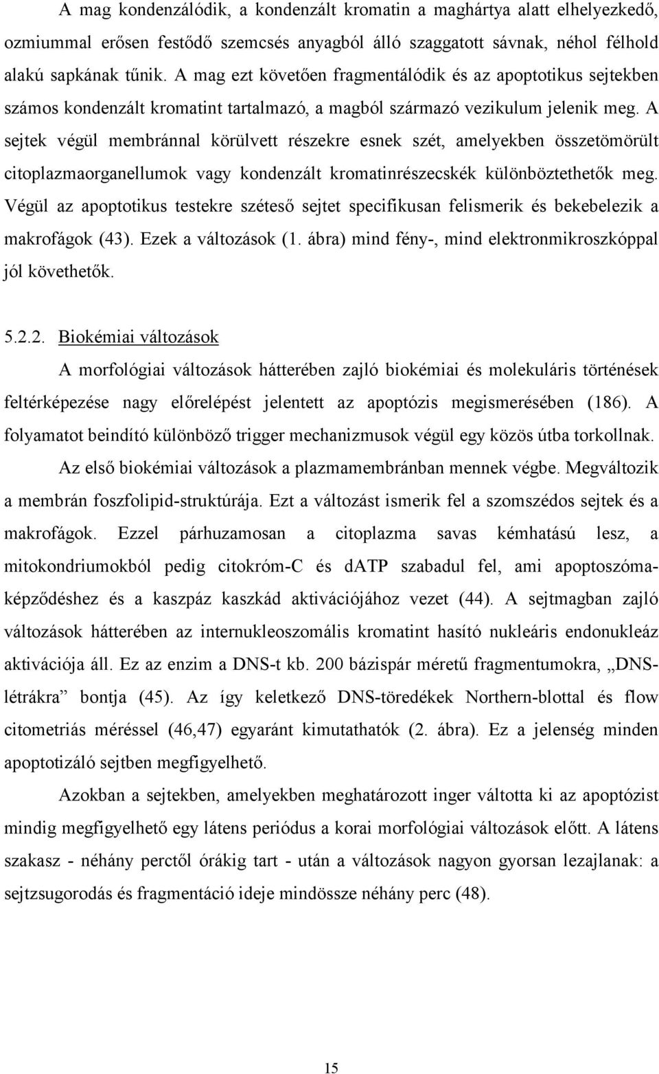 A sejtek végül membránnal körülvett részekre esnek szét, amelyekben összetömörült citoplazmaorganellumok vagy kondenzált kromatinrészecskék különböztethetők meg.