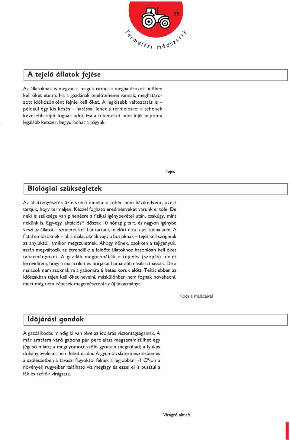 Fejé Biológiai zükégletek Az állattenyézté üzletzerû munka: a tehén nem házikedvenc, azért tartjuk, hogy termeljen. Kézzel fogható eredményeket várunk el tôle.