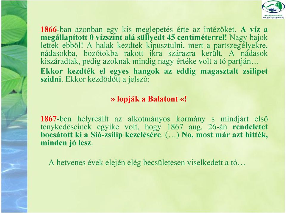 A nádasok kiszáradtak, pedig azoknak mindig nagy értéke volt a tó partján Ekkor kezdték el egyes hangok az eddig magasztalt zsilipet szidni.