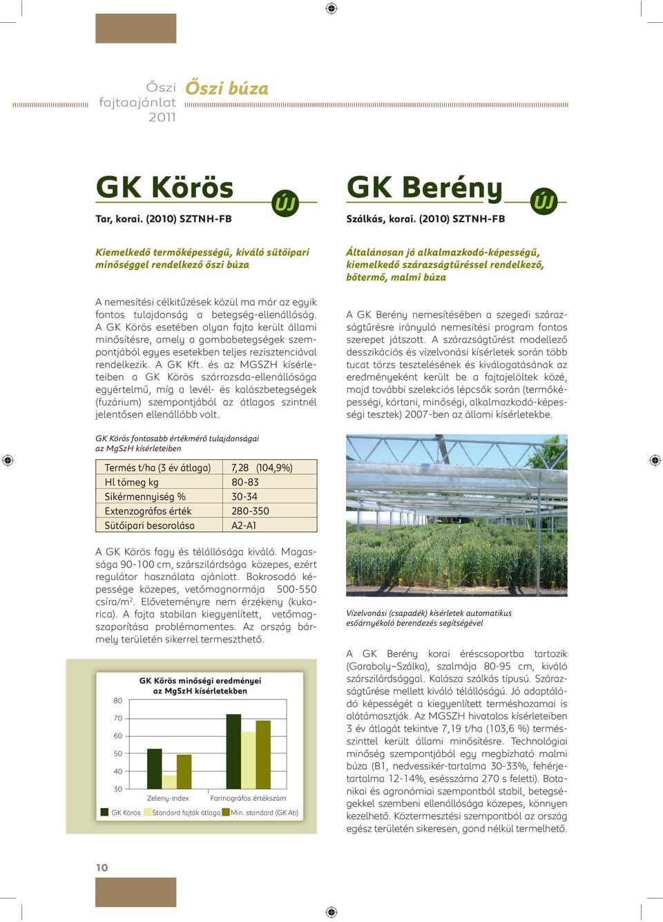 A GK Körös esetében olyan fajta került állami min sítésre, amely a gombabetegségek szempontjából egyes esetekben teljes rezisztenciával rendelkezik. A GK Kft.