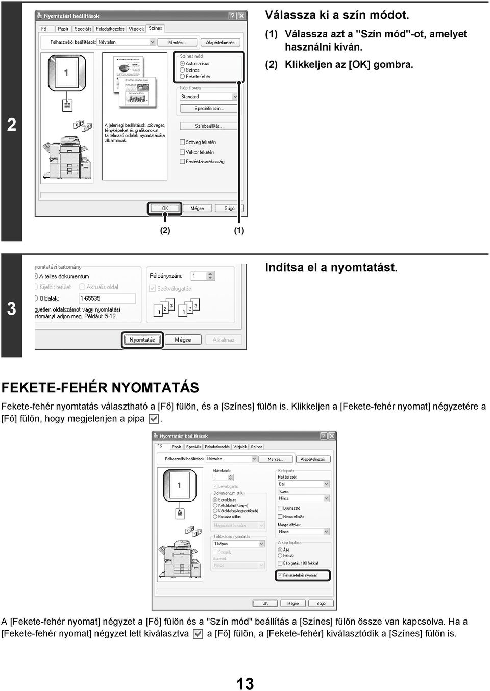 Klikkeljen a [Fekete-fehér nyomat] négyzetére a [Fő] fülön, hogy megjelenjen a pipa.