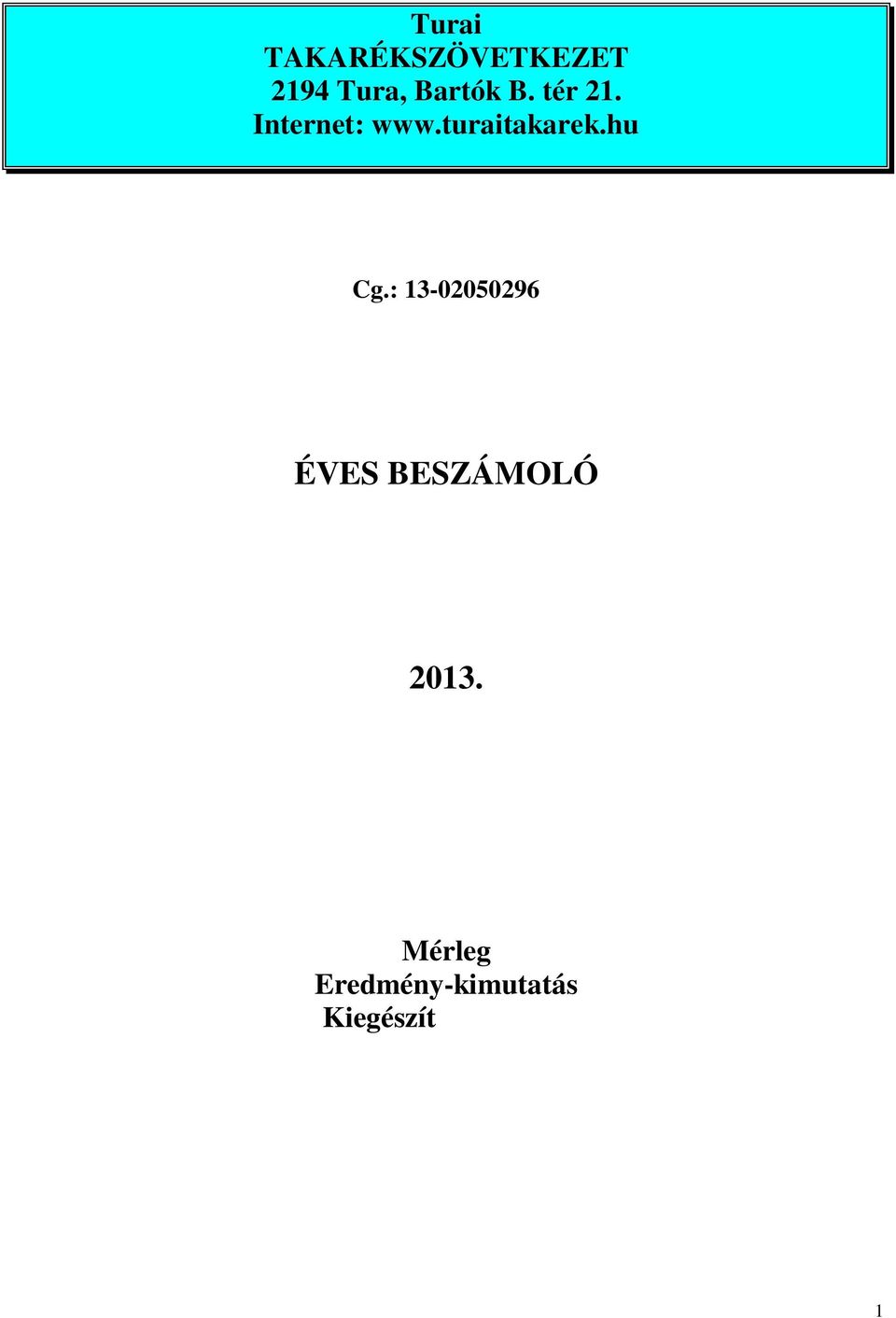 : 13-02050296 ÉVES BESZÁMOLÓ 2013.