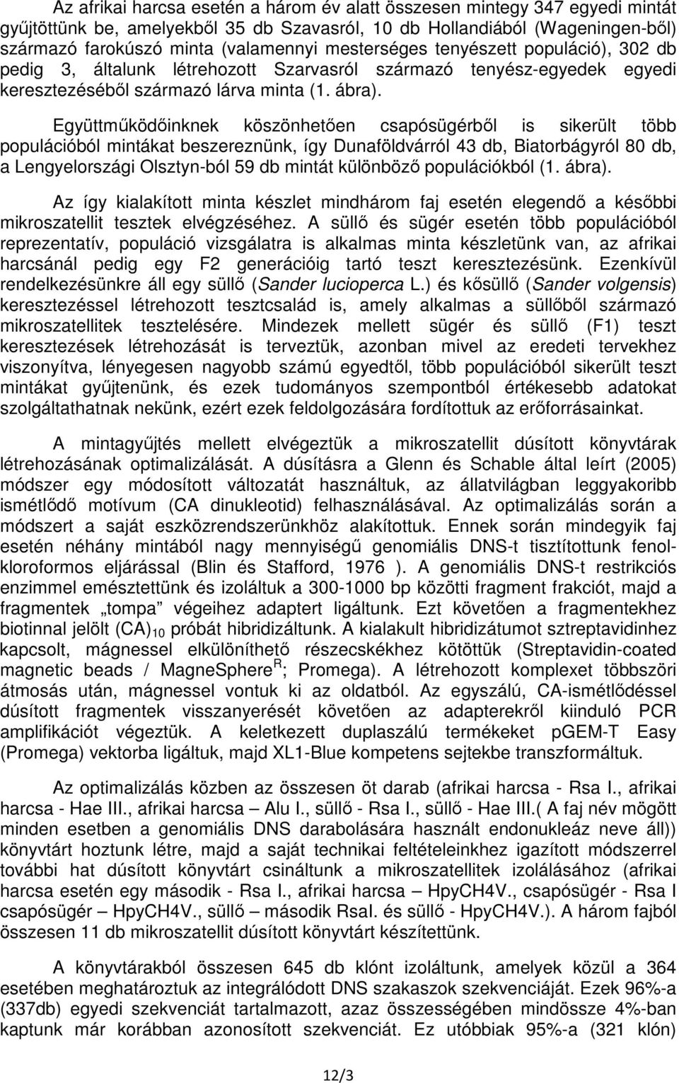 Együttműködőinknek köszönhetően csapósügérből is sikerült több populációból mintákat beszereznünk, így Dunaföldvárról 43 db, Biatorbágyról 80 db, a Lengyelországi Olsztyn-ból 59 db mintát különböző