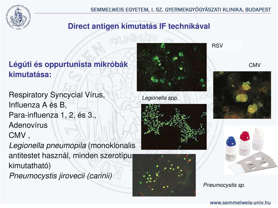 és 3., Adenovírus CMV, Legionella pneumopila (monoklonalis antitestet használ,