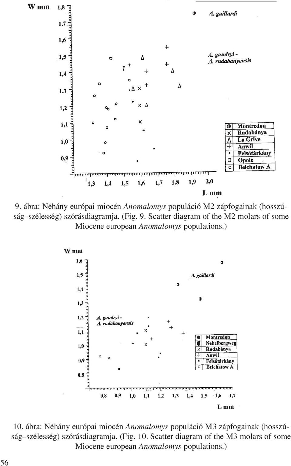 Scatter diagram of the M2 molars of some Miocene european Anomalomys populations.) 56 10.