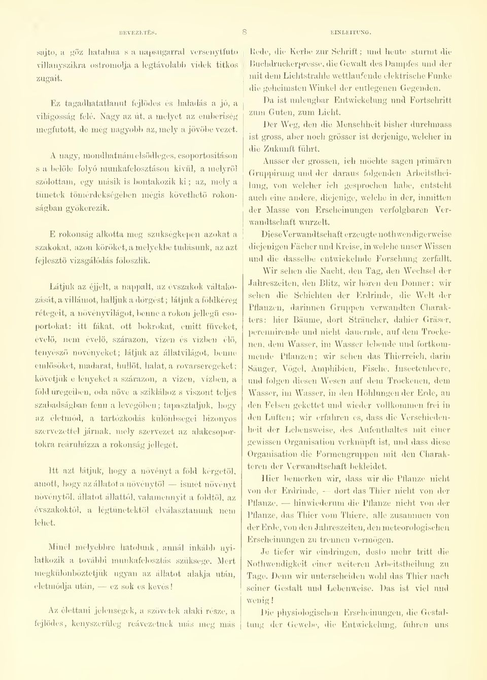 A nagy, mondhatnám elsdlegrs, csoportosításon s a belle folyó munkafelosztáson kívül, a melyrl szólottam, egy másik is bontakozik ki ; az, moly a tünetek tömérdekségébeu mégis követhet rokonságban