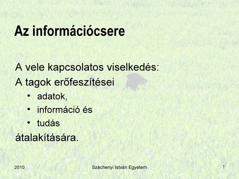 erőfeszítései adatok, információ és