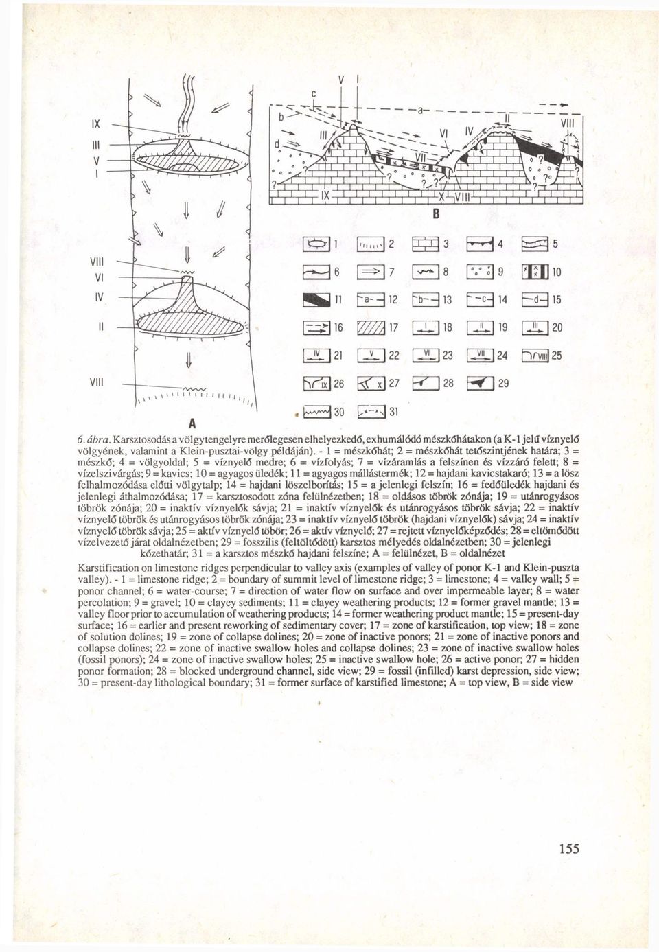- 1 = mészkőhát; 2 = mészkőhát tetőszintjének határa; 3 = mészkő; 4 = völgyoldal; 5 = víznyelő medre; 6 = vízfolyás; 7 = vízáramlás a felszínen és vízzáró felett; 8 = vízelszivárgás; 9 = kavics; 10 =