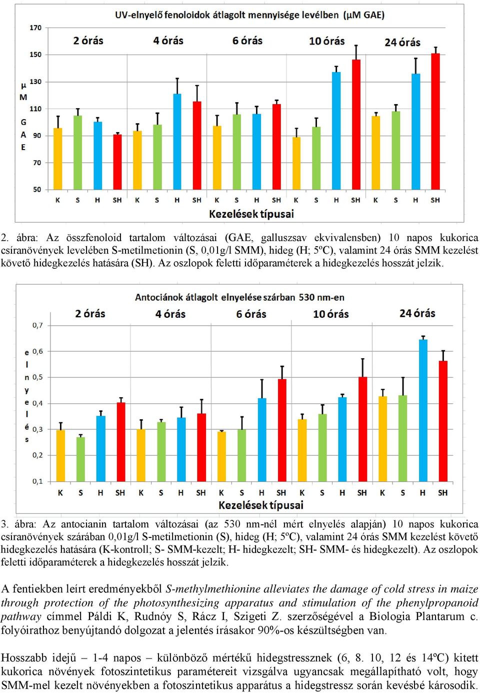 ábra: Az antocianin tartalom változásai (az 530 nm-nél mért elnyelés alapján) 10 napos kukorica csíranövények szárában 0,01g/l S-metilmetionin (S), hideg (H; 5ºC), valamint 24 órás SMM kezelést