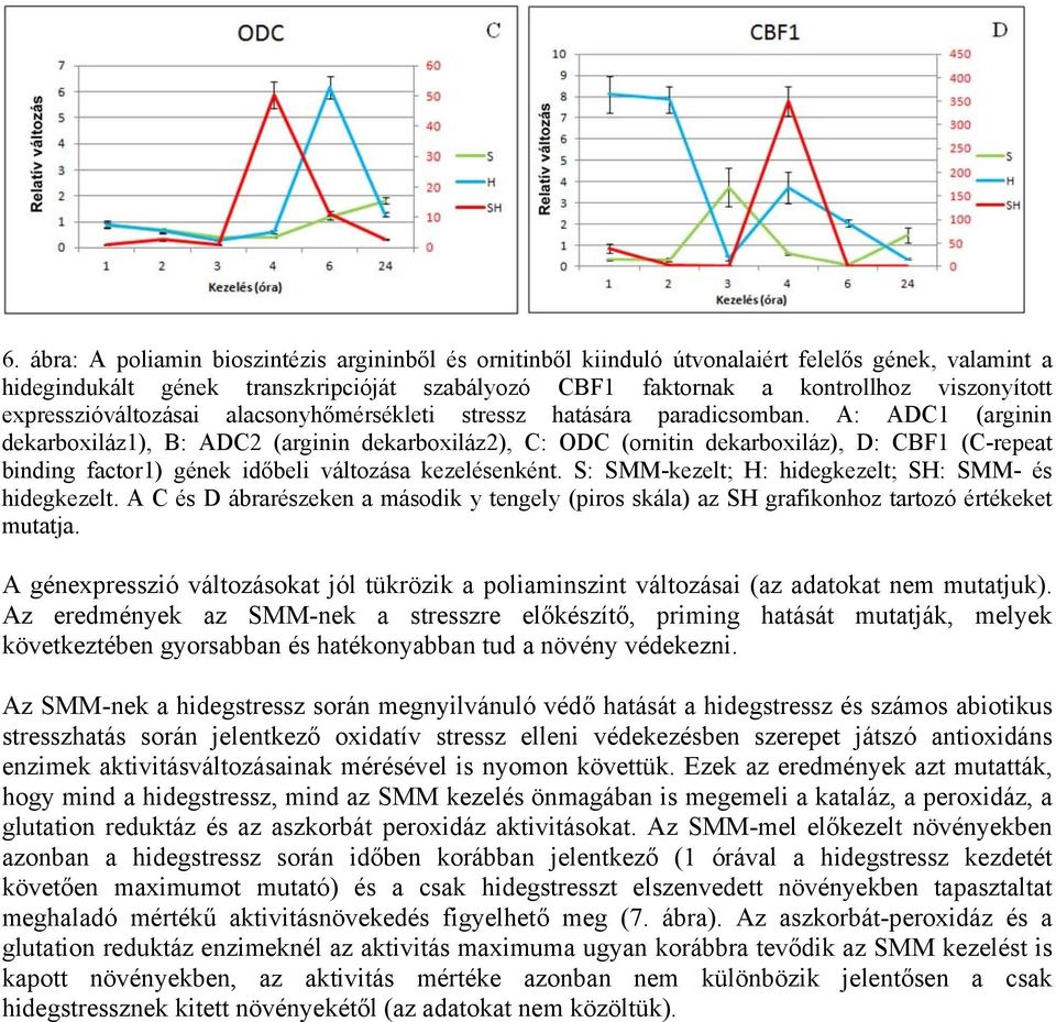 A: ADC1 (arginin dekarboxiláz1), B: ADC2 (arginin dekarboxiláz2), C: ODC (ornitin dekarboxiláz), D: CBF1 (C-repeat binding factor1) gének időbeli változása kezelésenként.