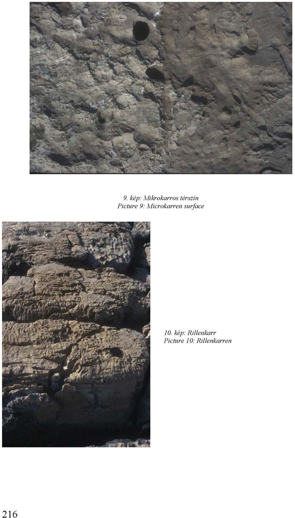 Microkarren surface 10.