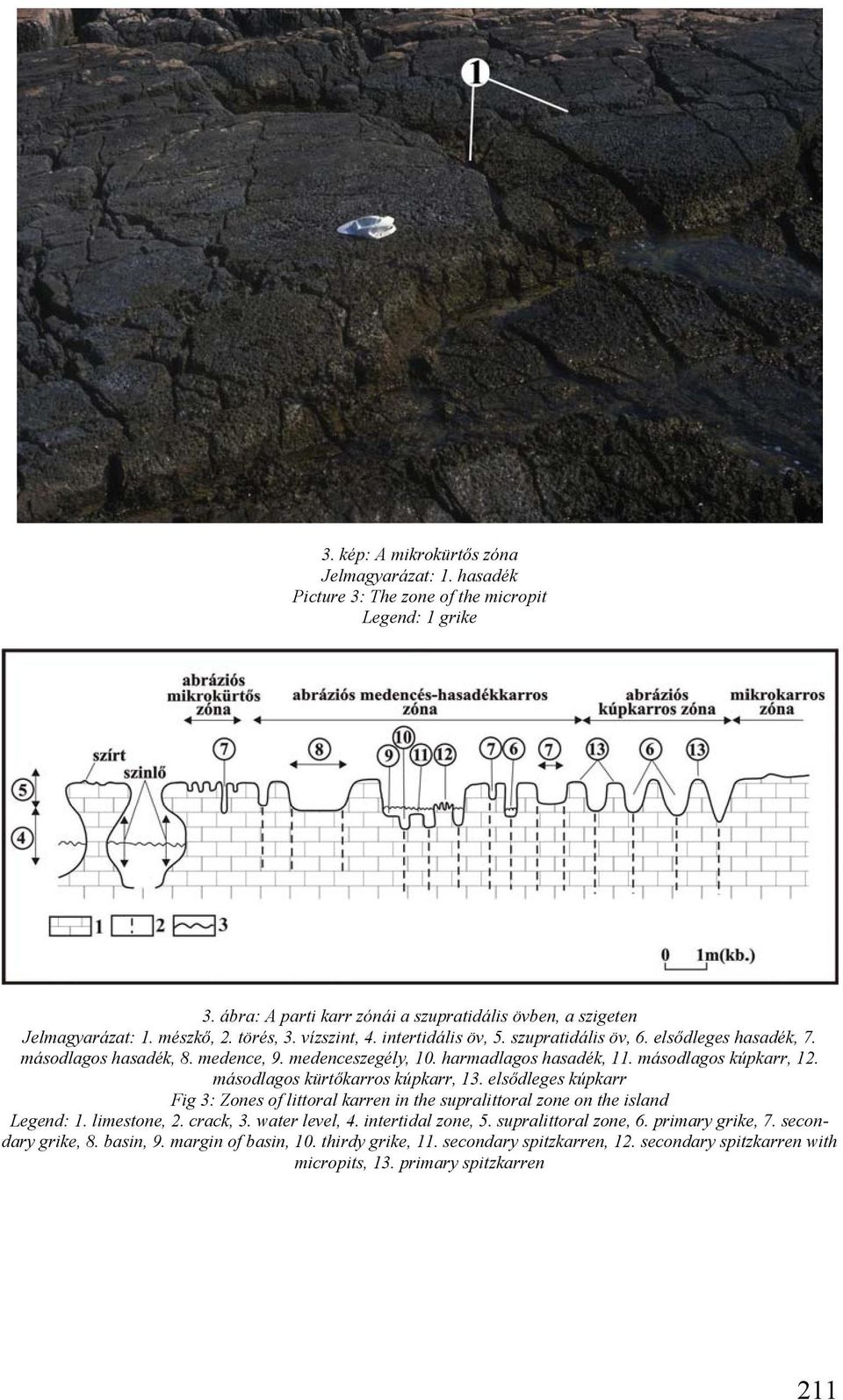 másodlagos kürtőkarros kúpkarr, 13. elsődleges kúpkarr Fig 3: Zones of littoral karren in the supralittoral zone on the island Legend: 1. limestone, 2. crack, 3. water level, 4. intertidal zone, 5.