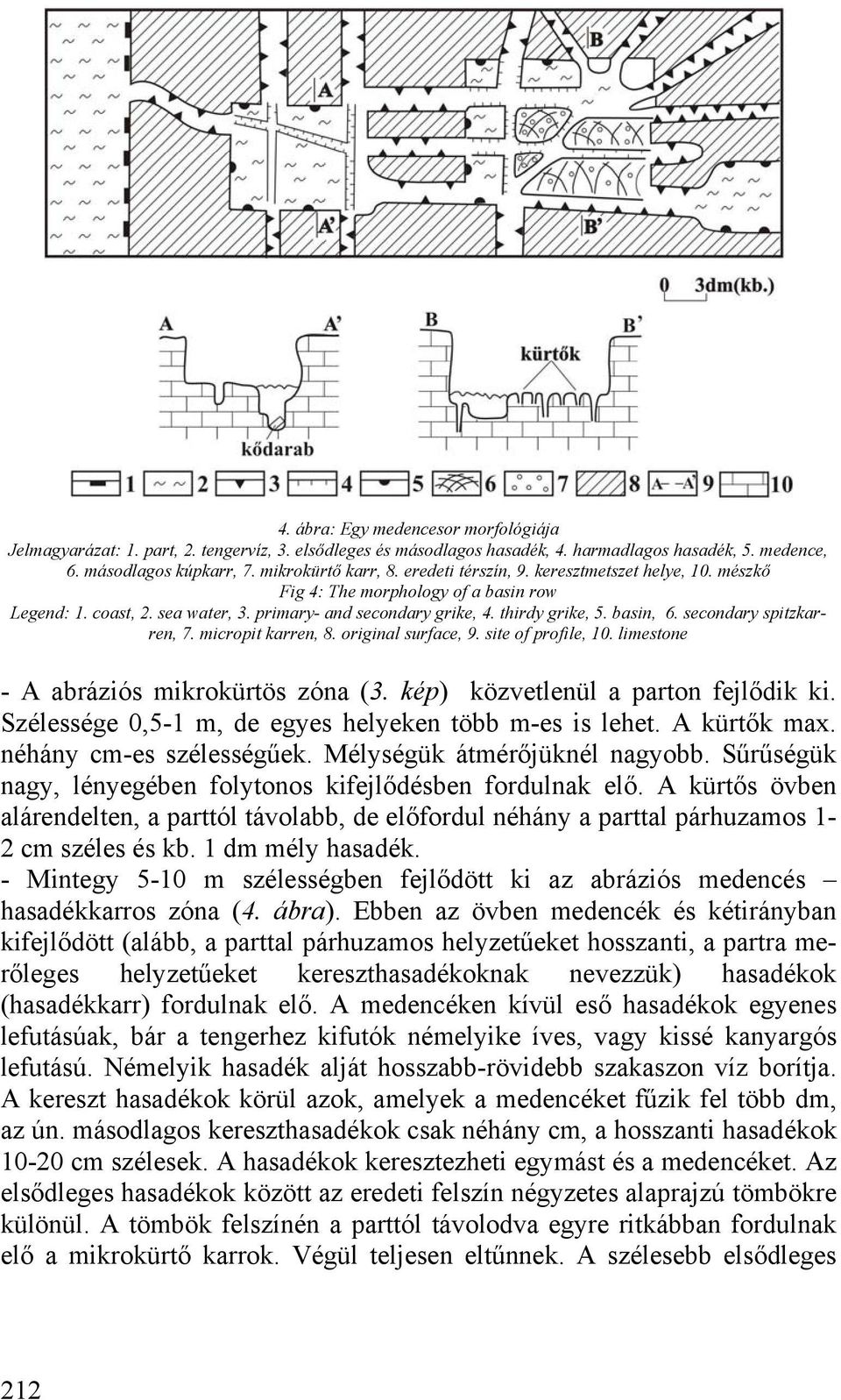 secondary spitzkarren, 7. micropit karren, 8. original surface, 9. site of profile, 10. limestone - A abráziós mikrokürtös zóna (3. kép) közvetlenül a parton fejlődik ki.