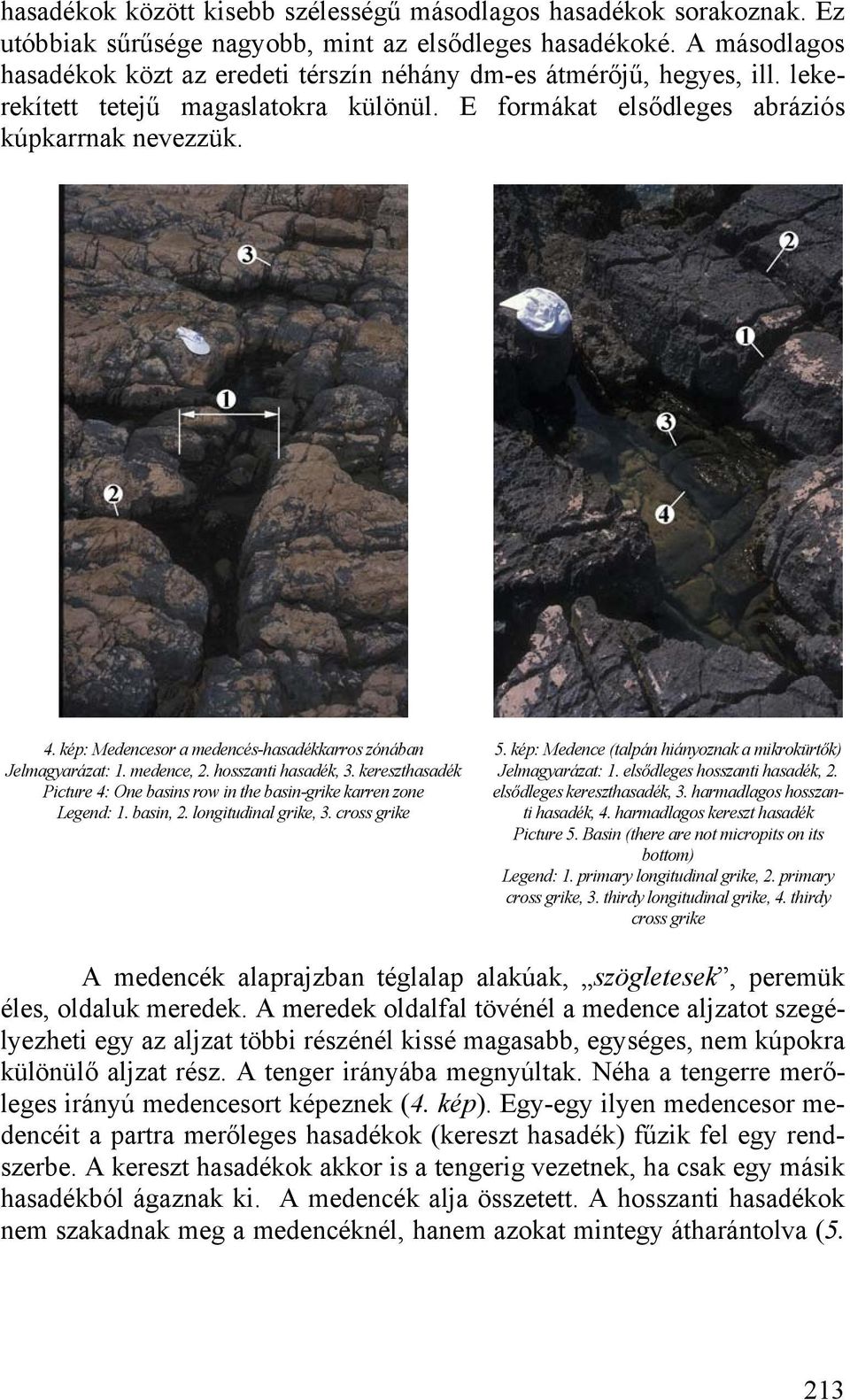 kép: Medencesor a medencés-hasadékkarros zónában Jelmagyarázat: 1. medence, 2. hosszanti hasadék, 3. kereszthasadék Picture 4: One basins row in the basin-grike karren zone Legend: 1. basin, 2.