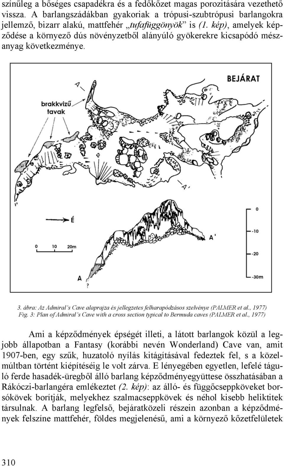 , 1977) Fig. 3: Plan of Admiral s Cave with a cross section typical to Bermuda caves (PALMER et al.
