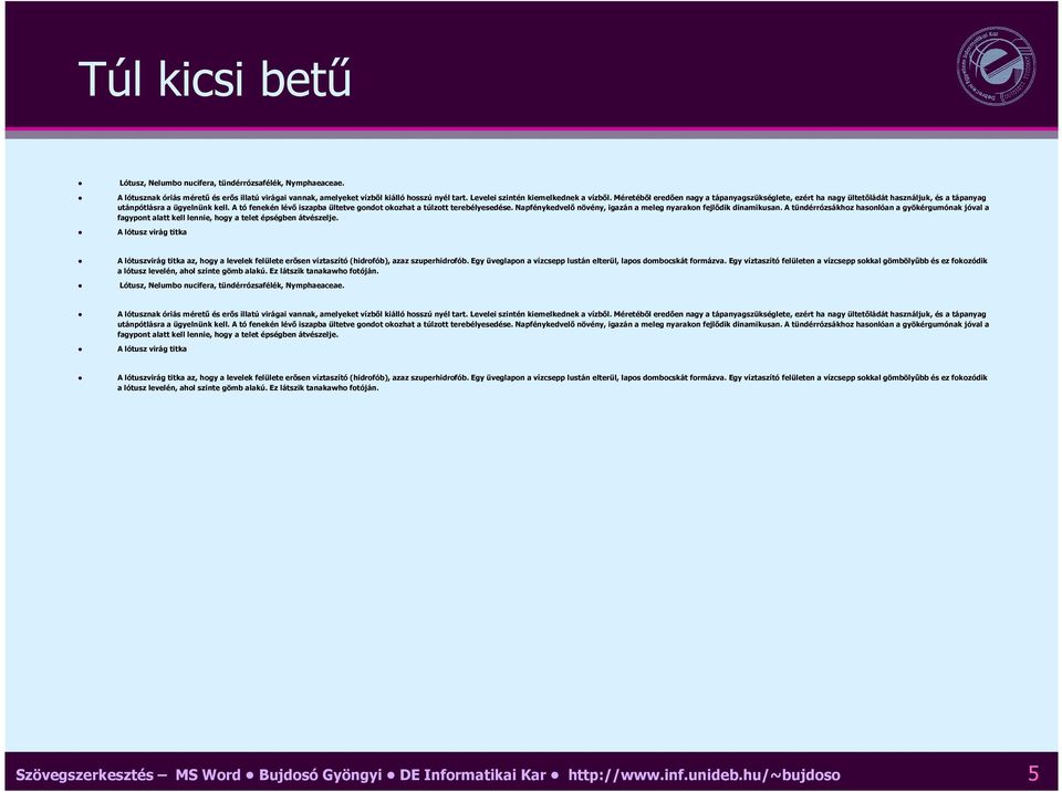 A tó fenekén lévı iszapba ültetve gondot okozhat a túlzott terebélyesedése. Napfénykedvelı növény, igazán a meleg nyarakon fejlıdik dinamikusan.