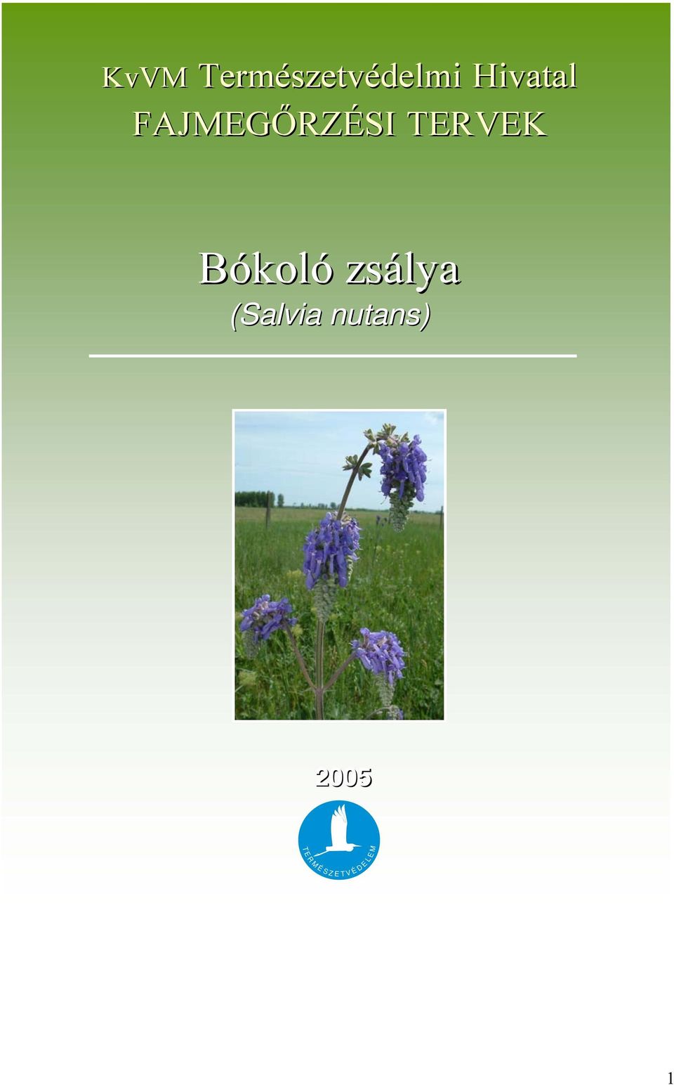 zsálya (Salvia nutans) 2005 T