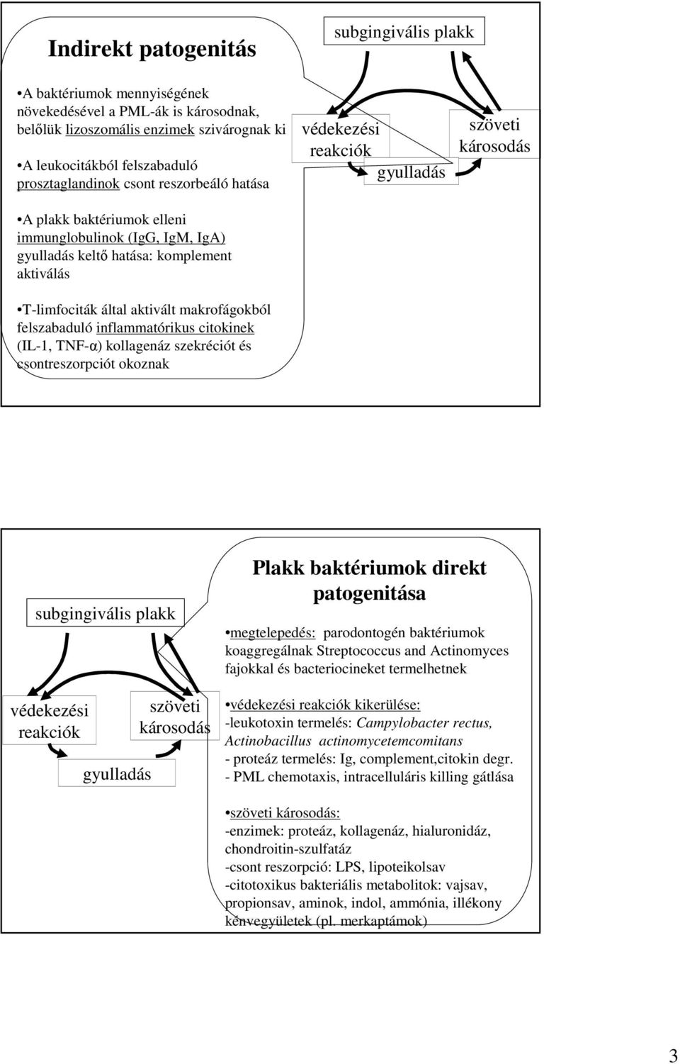 citokinek (IL-1, TNF-α) kollagenáz szekréciót és csontreszorpciót okoznak védekezési reakciók gyulladás szöveti károsodás subgingivális plakk védekezési reakciók gyulladás szöveti károsodás Plakk