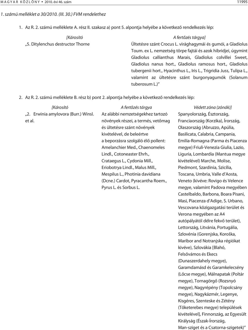nemzetség törpe fajtái és azok hibridjei, úgymint Gladiolus callianthus Marais, Gladiolus colvillei Sweet, Gladiolus nanus hort., Gladiolus ramosus hort., Gladiolus tubergenii hort., Hyacinthus L.