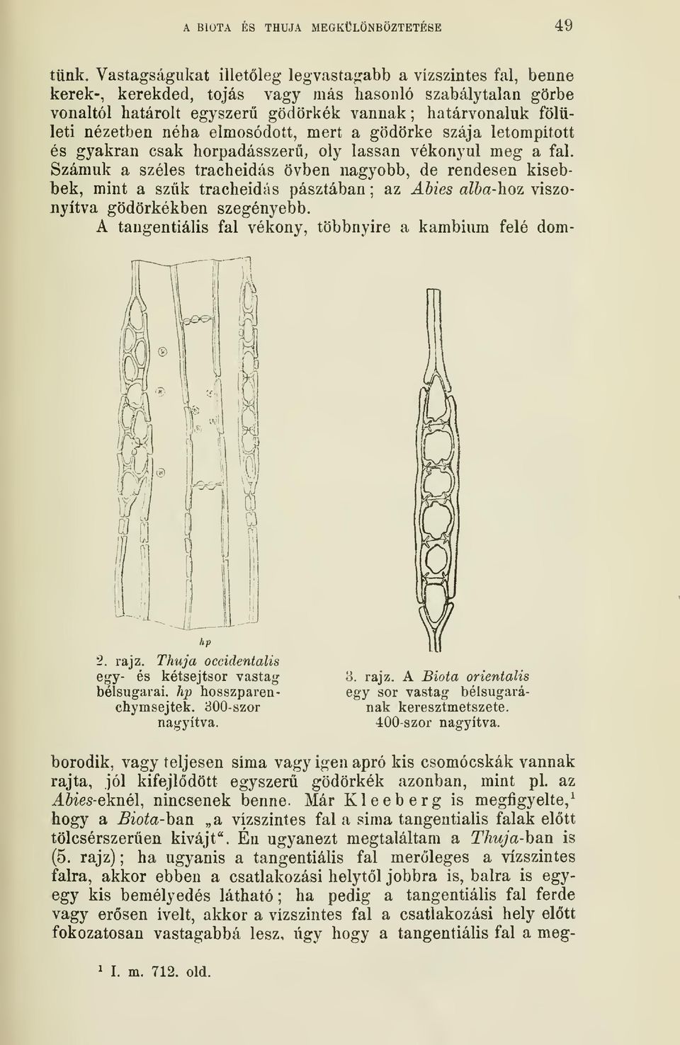 elmosódott, mert a gödörke szája letompított és gyakran csak horpadásszer, oly lassan vékonyul meg a fal.