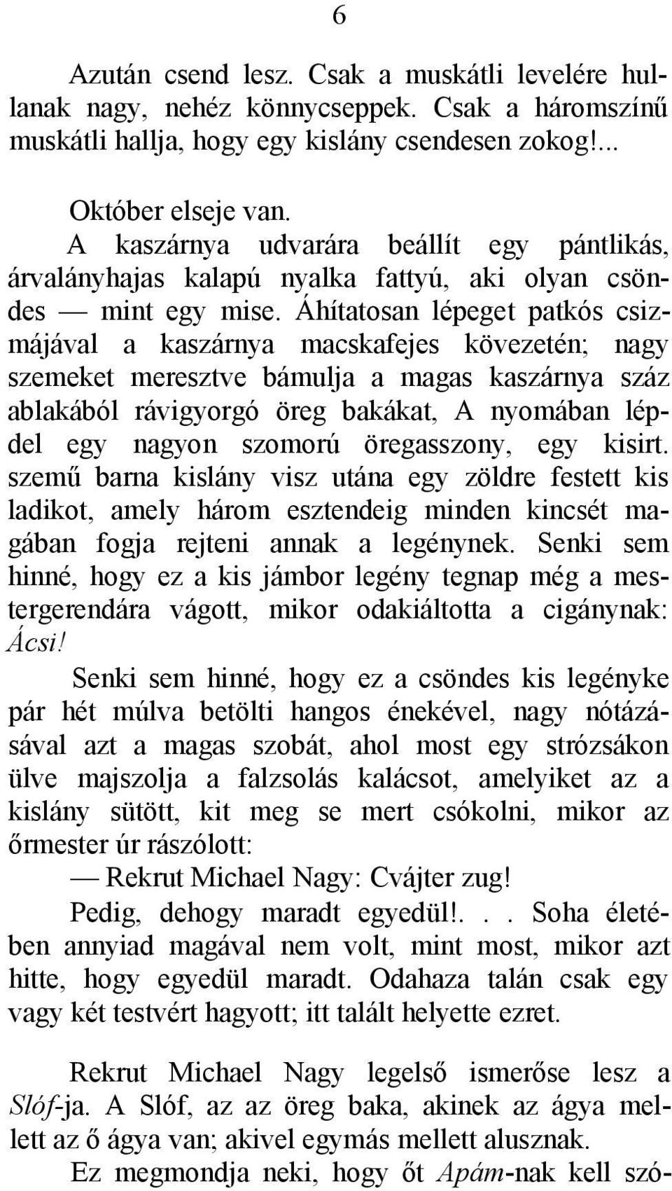 Áhítatosan lépeget patkós csizmájával a kaszárnya macskafejes kövezetén; nagy szemeket meresztve bámulja a magas kaszárnya száz ablakából rávigyorgó öreg bakákat, A nyomában lépdel egy nagyon szomorú