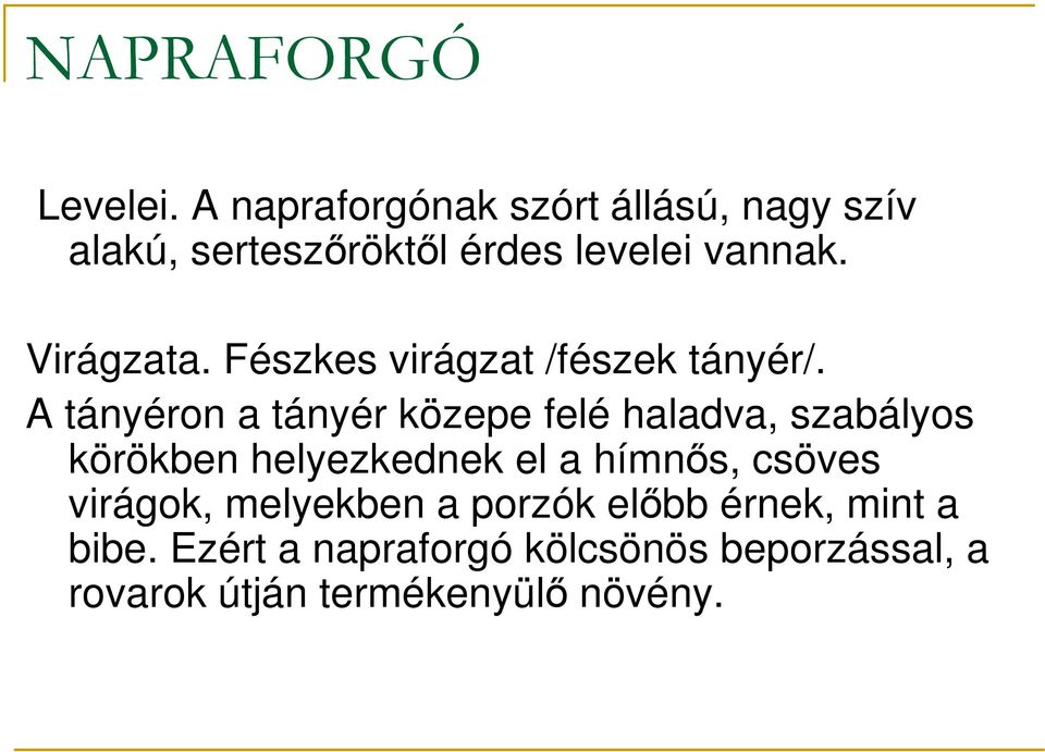 Virágzata. Fészkes virágzat /fészek tányér/.