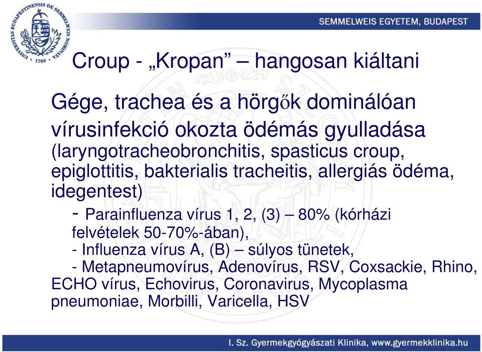 Parainfluenza vírus 1, 2, (3) 80% (kórházi felvételek 50-70%-ában), - Influenza vírus A, (B) súlyos tünetek, -