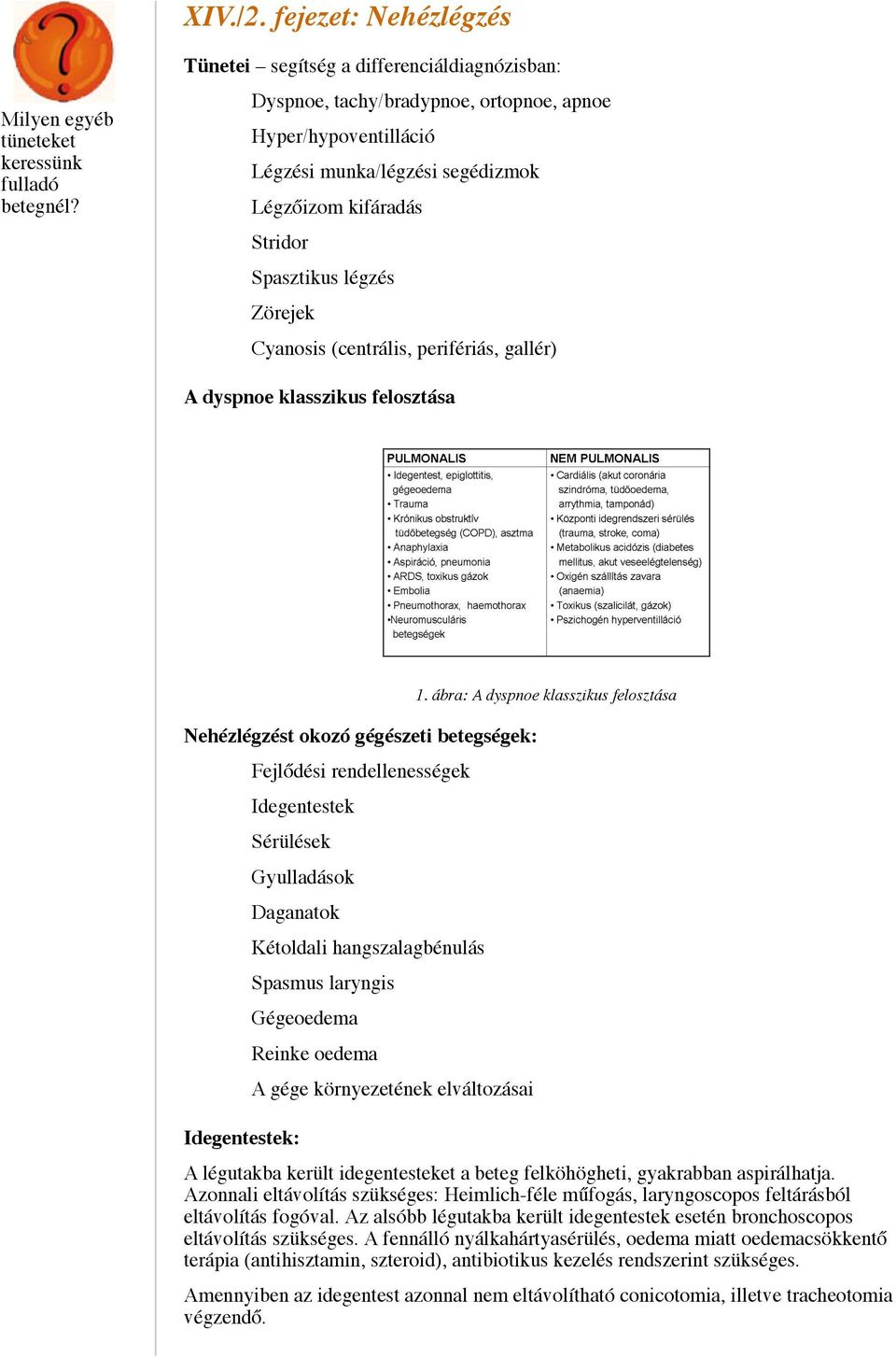 Cyanosis (centrális, perifériás, gallér) A dyspnoe klasszikus felosztása Nehézlégzést okozó gégészeti betegségek: Fejlődési rendellenességek Idegentestek Sérülések Gyulladások Daganatok Idegentestek: