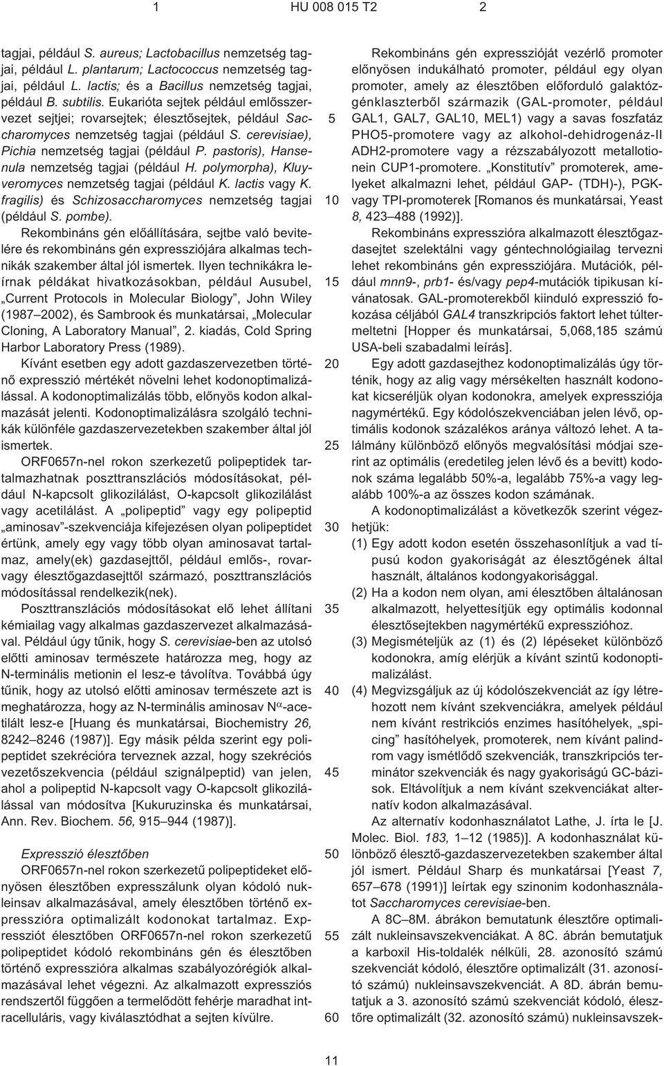 pastoris), Hansenula nemzetség tagjai (például H. polymorpha), Kluyveromyces nemzetség tagjai (például K. lactis vagy K. fragilis) és Schizosaccharomyces nemzetség tagjai (például S. pombe).