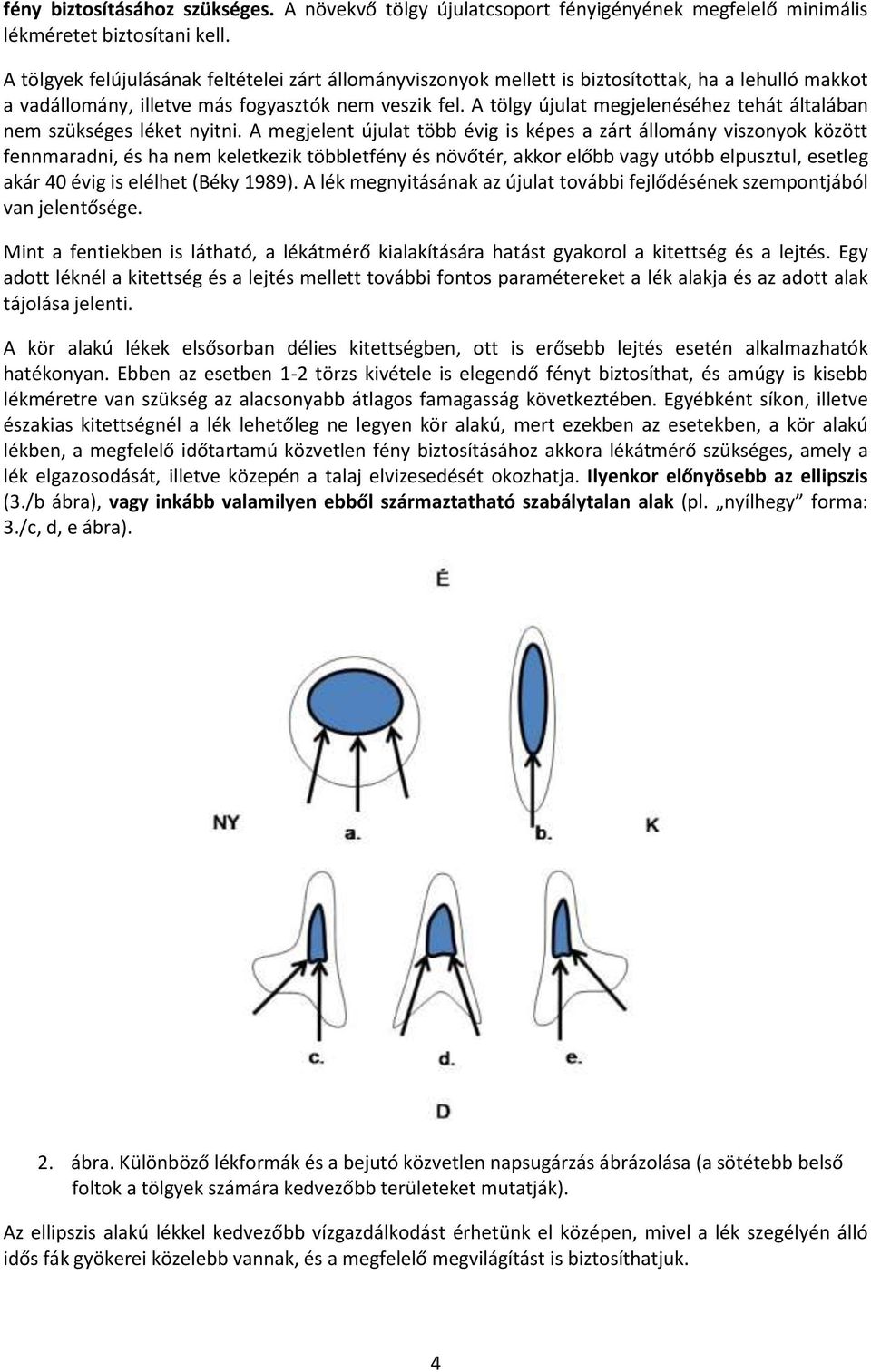 A tölgy újulat megjelenéséhez tehát általában nem szükséges léket nyitni.