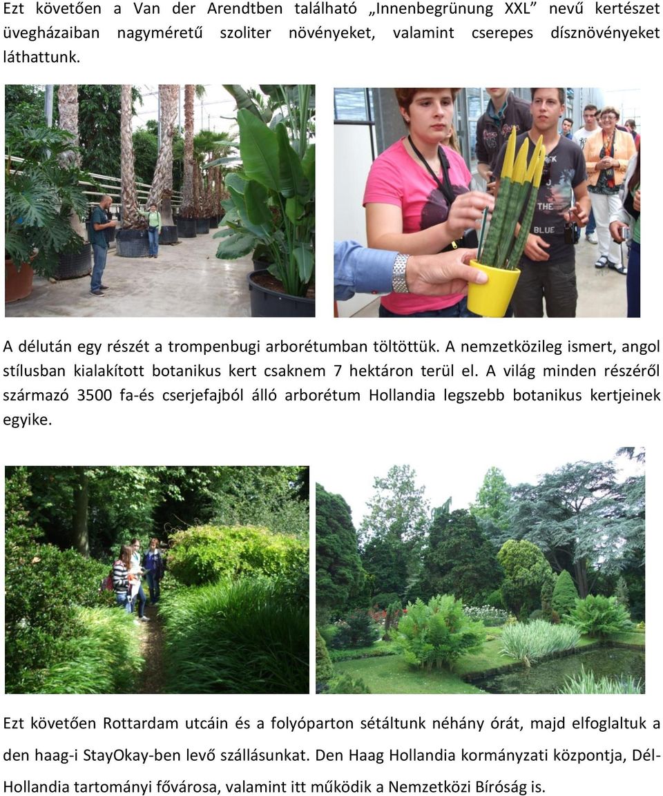 A világ minden részéről származó 3500 fa-és cserjefajból álló arborétum Hollandia legszebb botanikus kertjeinek egyike.