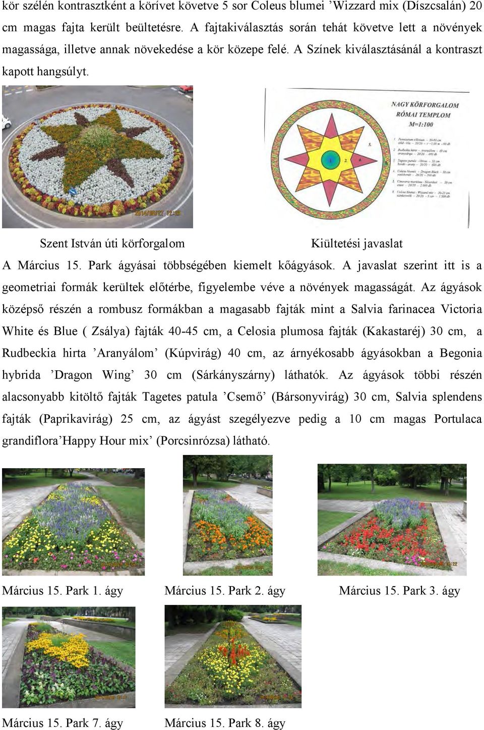 Szent István úti körforgalom A Március 15. Park ágyásai többségében kiemelt kőágyások. A javaslat szerint itt is a geometriai formák kerültek előtérbe, figyelembe véve a növények magasságát.