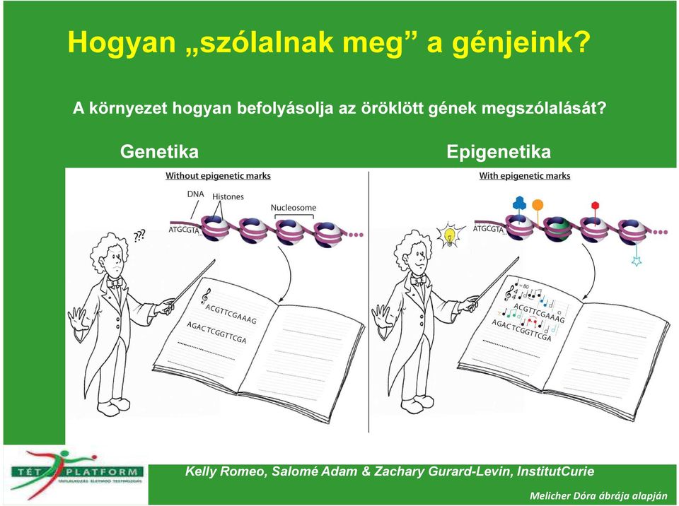 megszólalását?