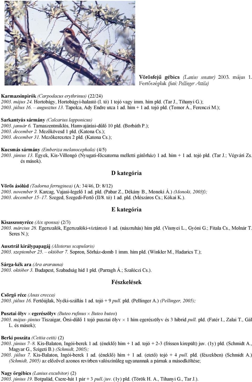 ); Sarkantyús sármány (Calcarius lapponicus) 2003. január 6. Tarnaszentmiklós, Hamvajárási-dűlő 10 pld. (Borbáth P.); 2003. december 2. Mezőkövesd 1 pld. (Katona Cs.); 2003. december 31.