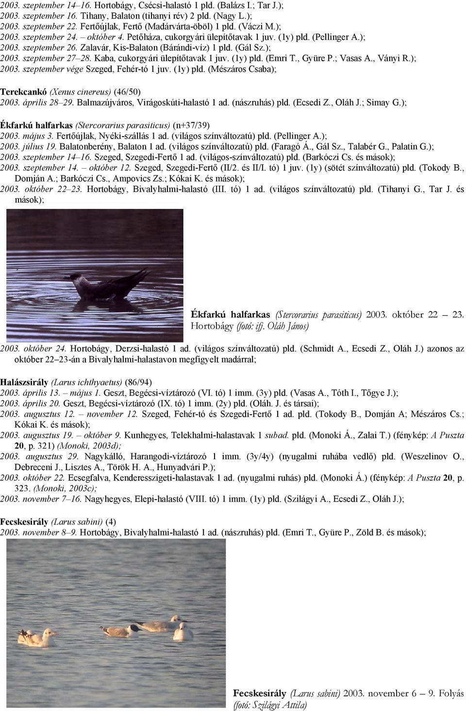 Zalavár, Kis-Balaton (Bárándi-víz) 1 pld. (Gál Sz.); 2003. szeptember 27 28. Kaba, cukorgyári ülepítőtavak 1 juv. (1y) pld. (Emri T., Gyüre P.; Vasas A., Ványi R.); 2003. szeptember vége Szeged, Fehér-tó 1 juv.