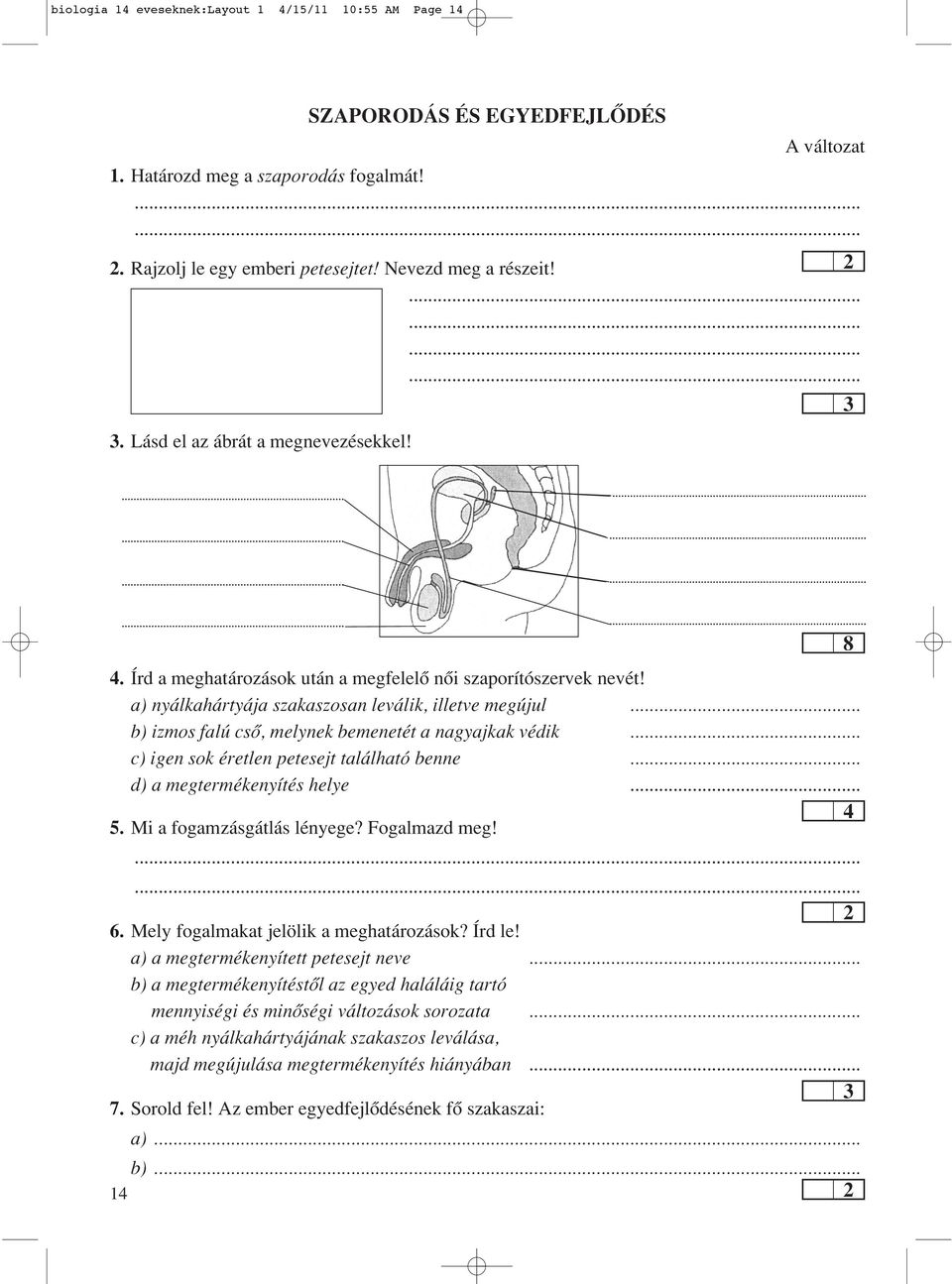 .. b) iz mos fa lú csô, mely nek beme ne tét a nagy aj kak vé dik... c) igen sok éretlen petesejt található benne... d) a megtermékenyítés helye... 4. Mi a fogamzásgátlás lényege? Fogalmazd meg! 6.