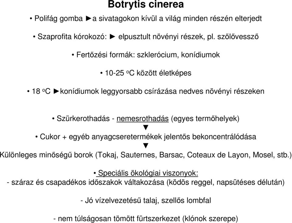 nemesrothadás (egyes termőhelyek) Cukor + egyéb anyagcseretermékek jelentős bekoncentrálódása Különleges minőségű borok (Tokaj, Sauternes, Barsac, Coteaux de Layon,